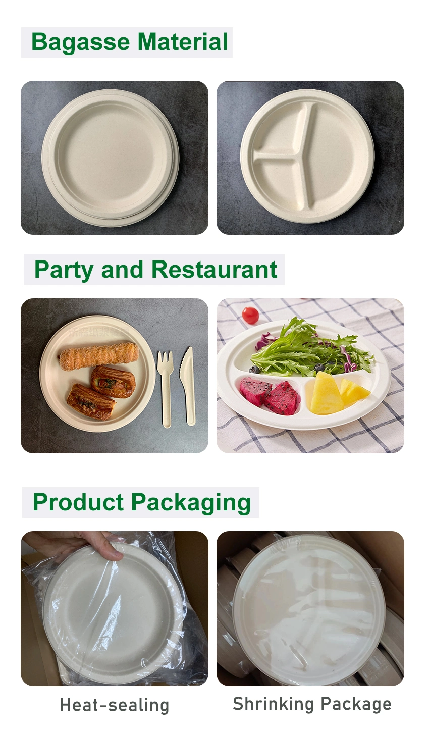 Disposable Round Plate Sugarcane Pulp Tableware Biodegradable Dessert Fruit Paper Bagasse Plate