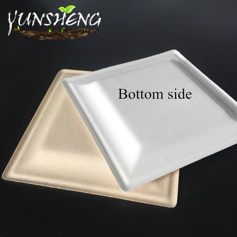 Bagasse Pulp Compostable Durable Paper Square Plate for Fruit