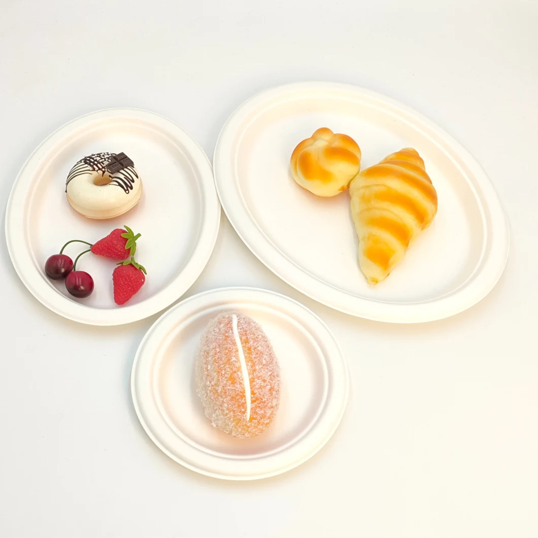 Biodegradable Food Container Bagasse Disposable Oval Cake Tray Fruit Plate