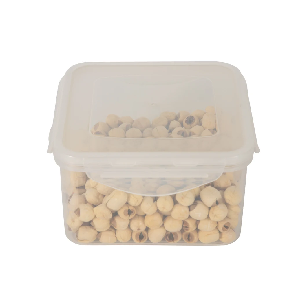 Wholesale Multi-Specification Square Transparent Sealed Box Plastic Preservation Box Food Packaging Crisper