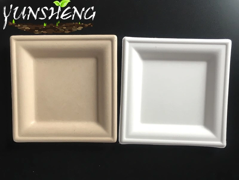 Bagasse Pulp Compostable Durable Paper Square Plate for Fruit